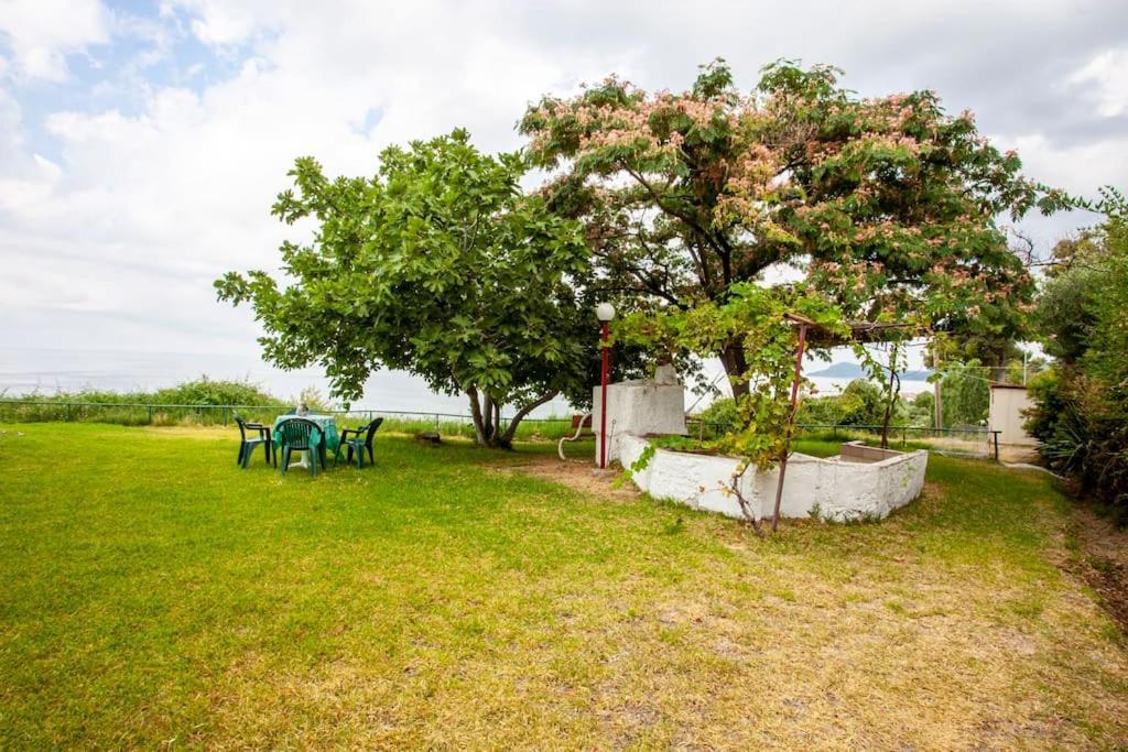 Mola Kaliva Sea View, 100M From The Beach! 외부 사진
