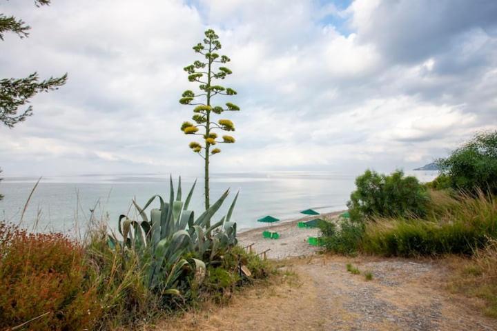 Mola Kaliva Sea View, 100M From The Beach! 외부 사진